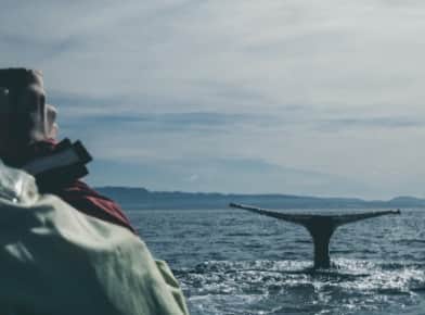 船からクジラを撮る人の写真